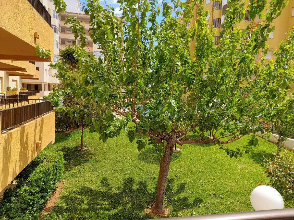 Tamaris Playa Solo Familias Serviplaya Playa De Xeraco Exteriör bild